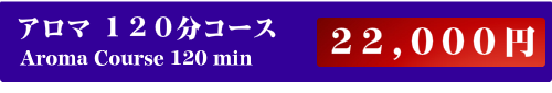 出張アロマリンパマッサージ120分